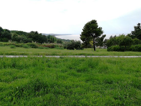 Parco Belvedere Posatora